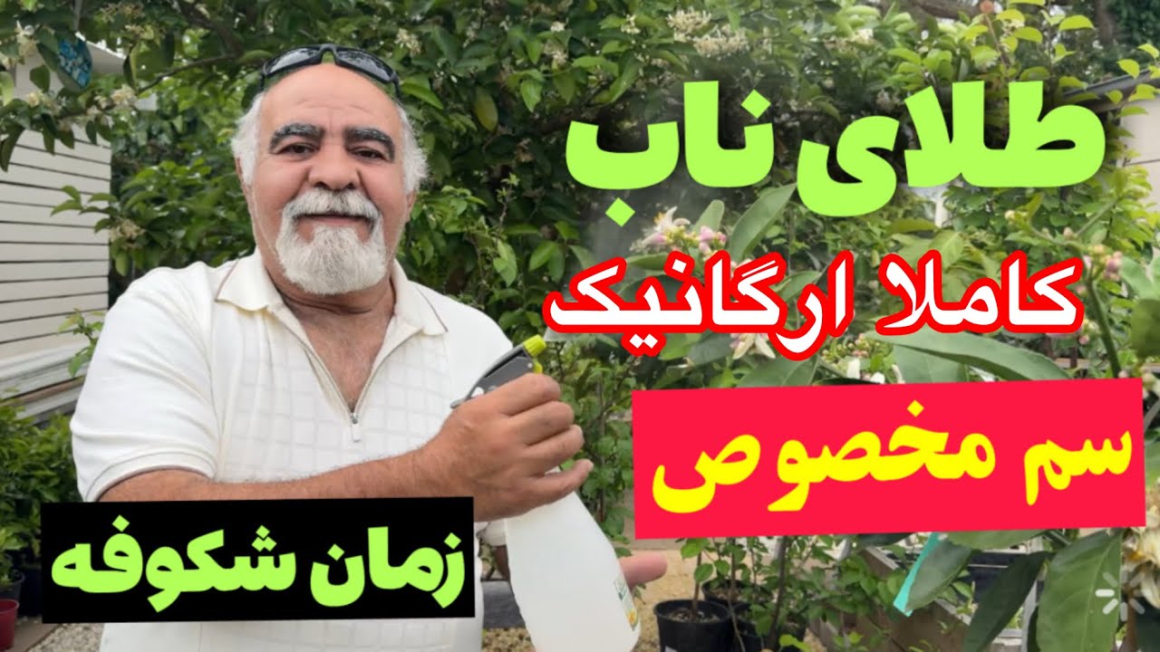 سم مخصوص برای زمانی که درخت شگوفه داره