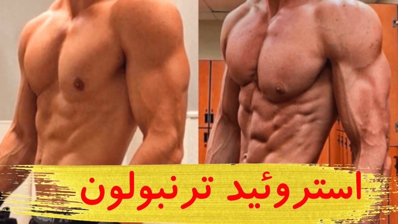همه چیز درباره ترنبولون | مزیا، عوارض، نتیجه، دوز، انواع، طول دوره