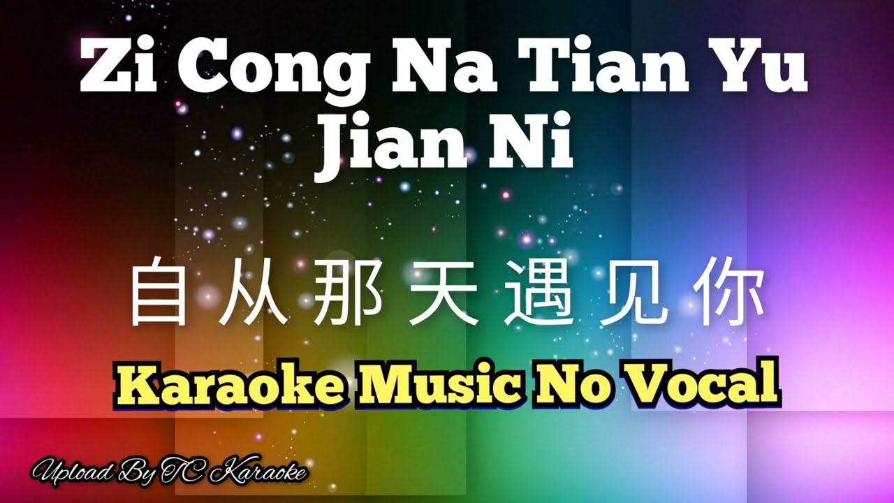 Ci Cong Na Tian Yu Jian Ni 自从那天遇见你 karaoke mandarin no vokal