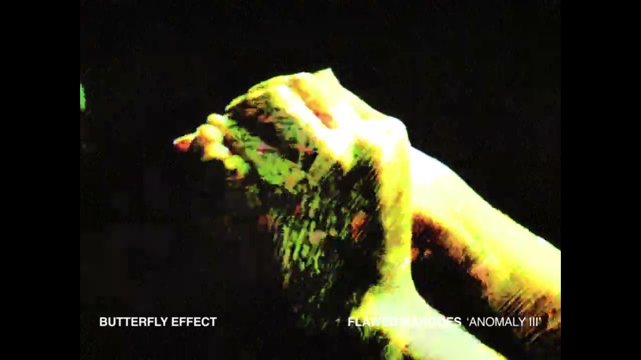 Flawed Mangoes - Butterfly Effect (Official Visualizer)