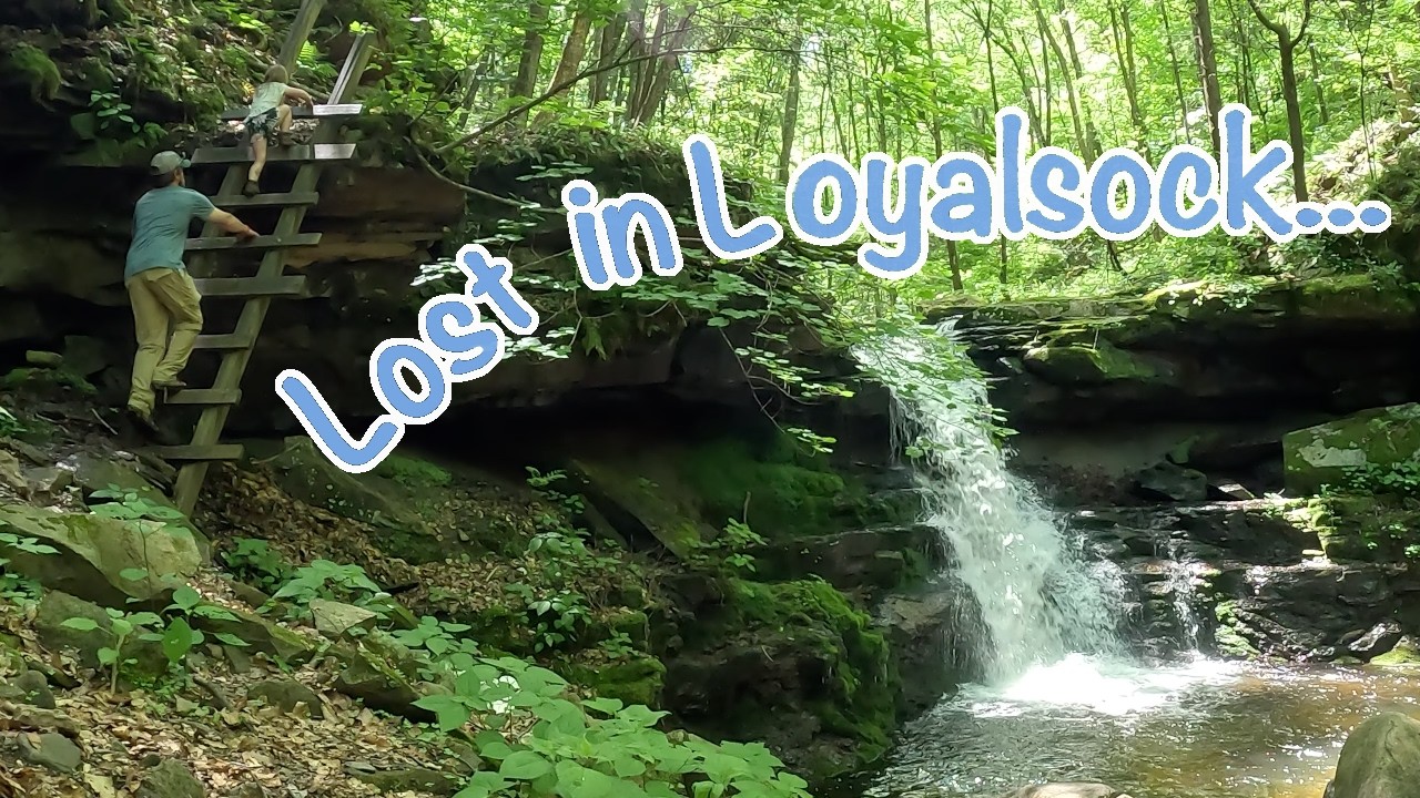 Boondocking! Pennsylvania's Loyalsock State Forest | Waterfalls and Vistas on the Trail!