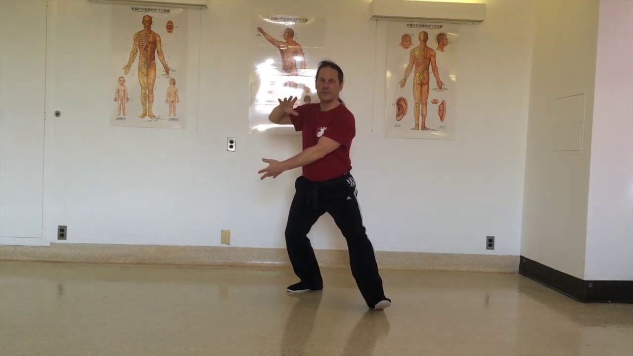 Fundamentals of Tai Chi - 7 :  Grasping the sparrow's Tail