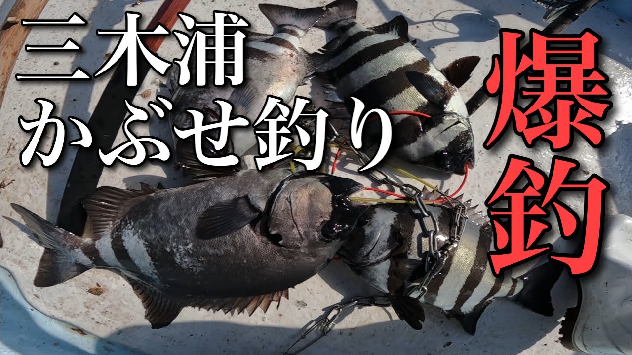 三重県の超一級カセで憧れの魚が釣れまくる異常事態に！？