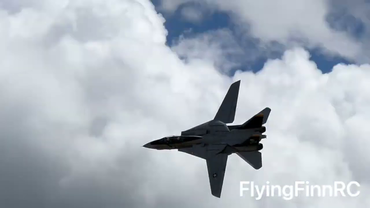Giant Skymater Jet RC XXL F14 Tomcat