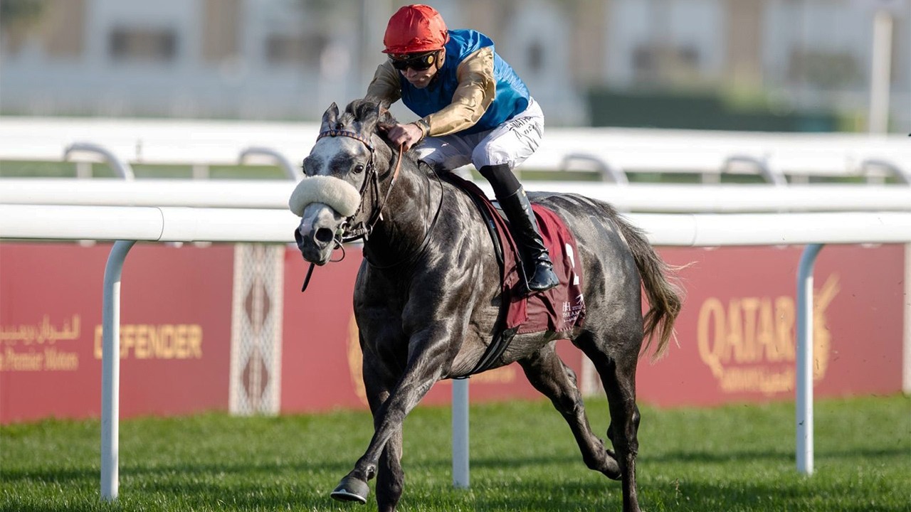 RM 50  Al Rayyan Race 2 -  H.H. The Amir Sword Festival - Day 3