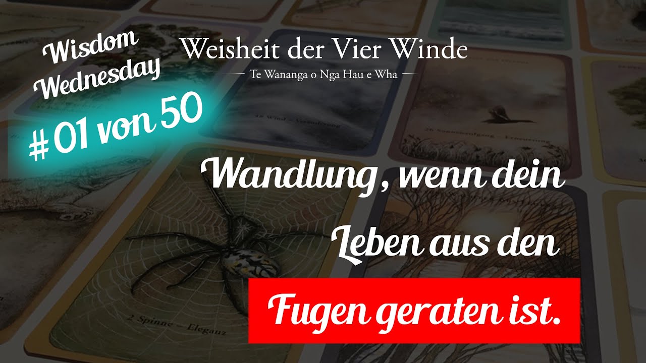 Shine your Light - #01 von 50 mit Dirk Seufert