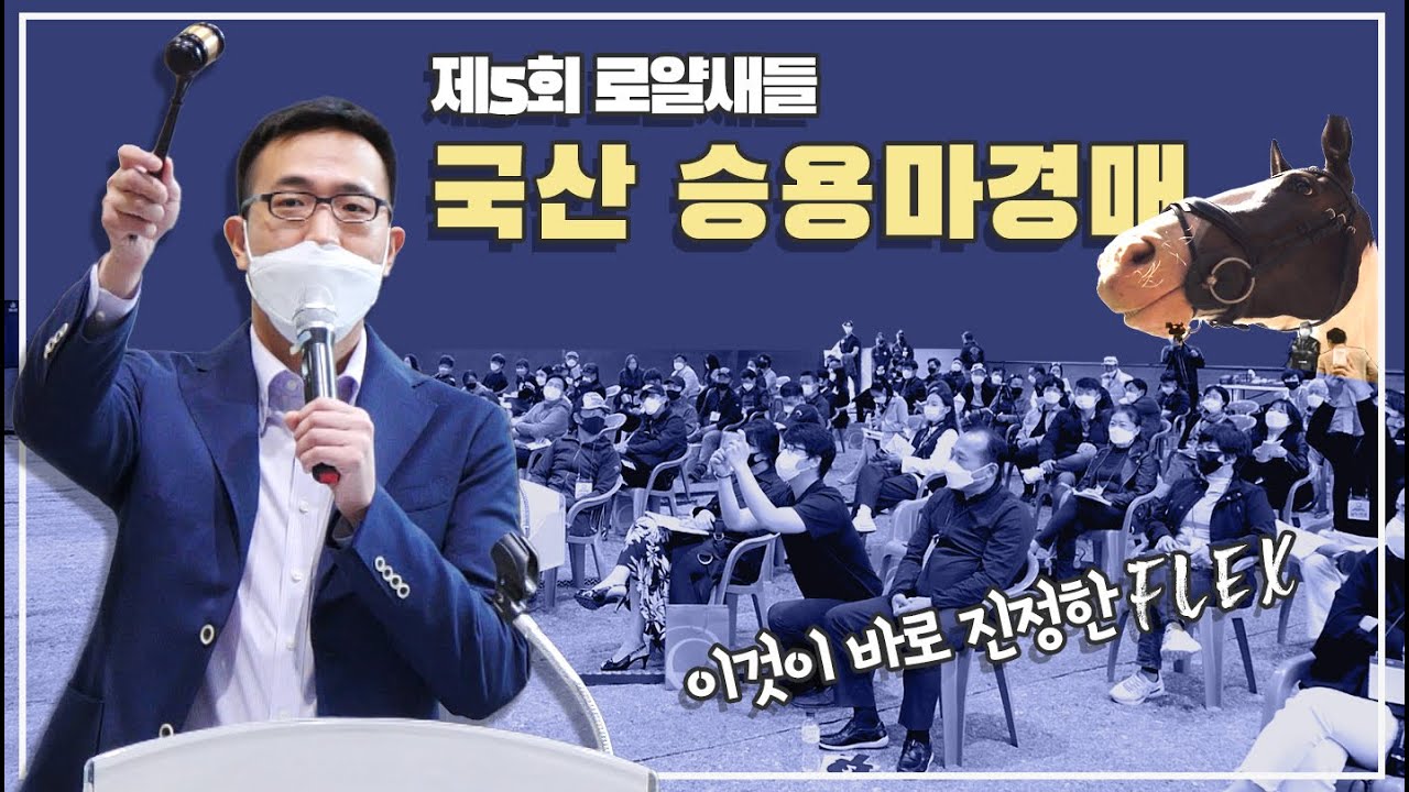 도쿄 올림픽 출전하는 한화 김동선의 제5회 로얄새들 국산 🐴승용마 경매