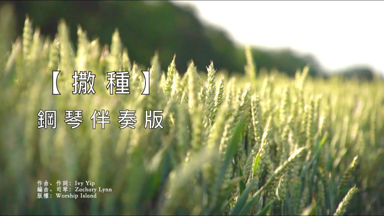 【撒種】歌詞鋼琴伴奏 | 粵語詩歌 | The Sower | Piano version@Worship Island