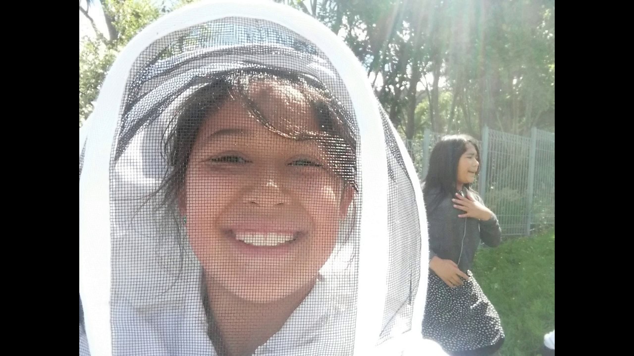 Koraunui School Bees