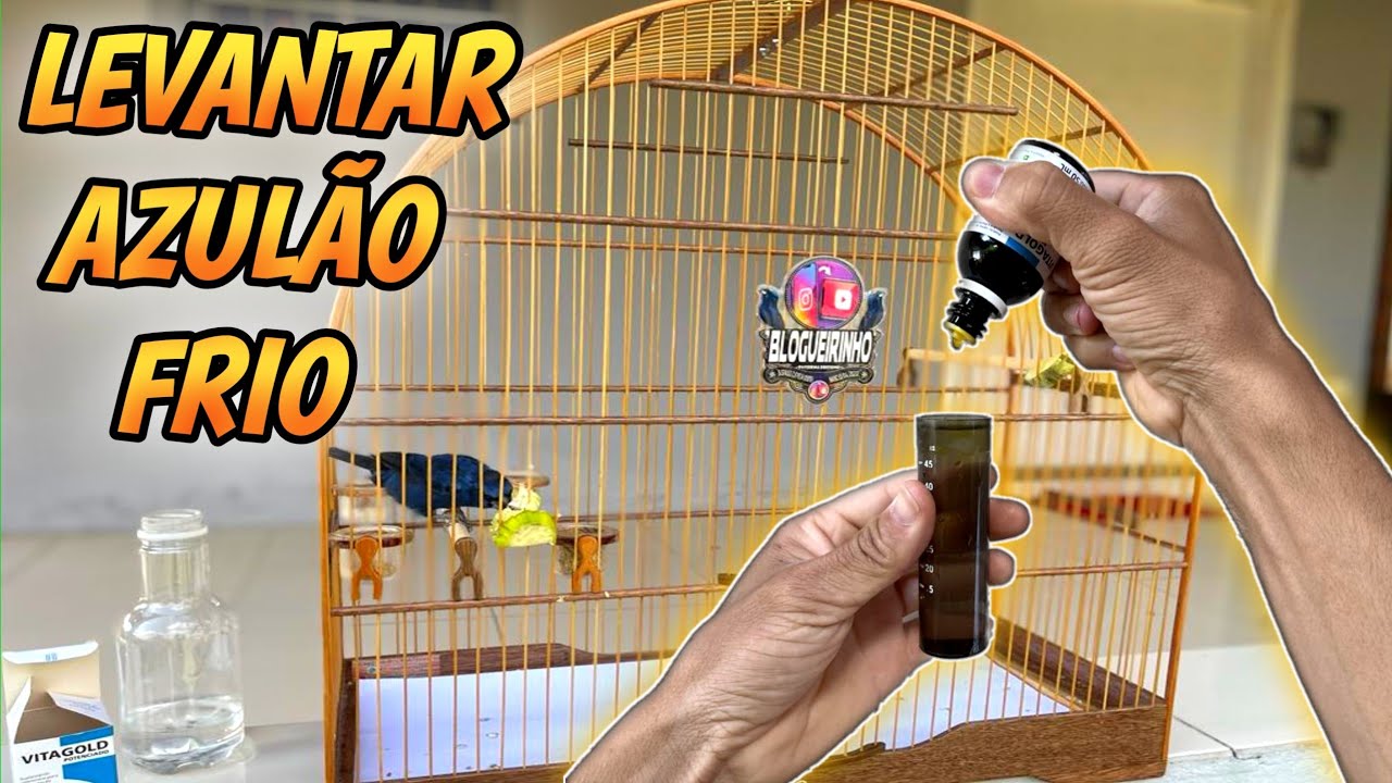 TRUQUES , COMO LEVANTAR AZULÃO FRIO (abrir canto)