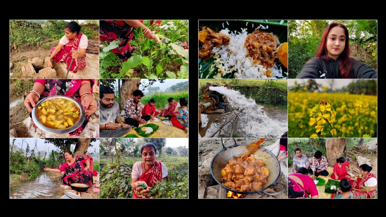 মাঠে গিয়ে youtube এর রান্না করলাম🥘☺️ #viral #villagefood #villegevlog #viralvideo #vlog #familyvlog