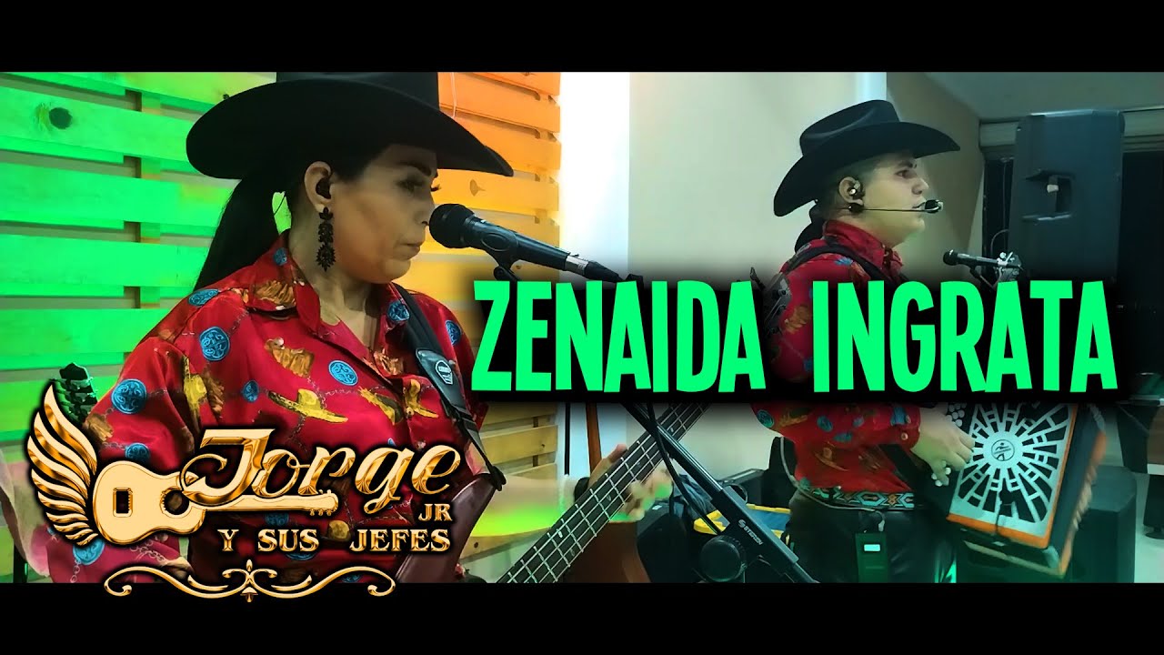Zenaida Ingrata - En Vivo