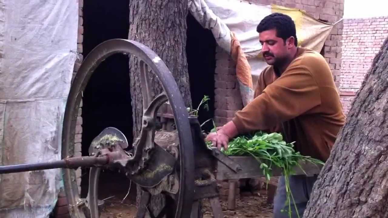 Bhopalwala taliwala