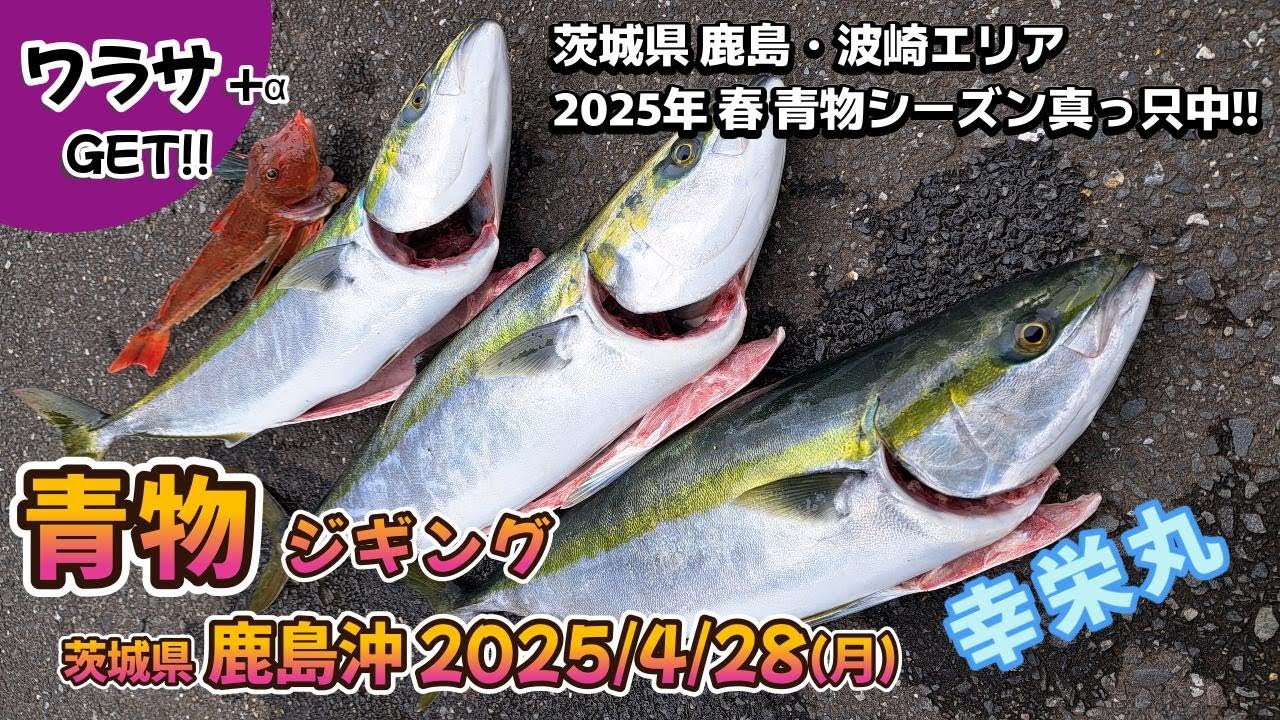 茨城県鹿島 青物ジギング 2025/4/28(月) ワラサ＋α GET!! 〜春の青物ハイシーズン真っ只中〜 @幸栄丸