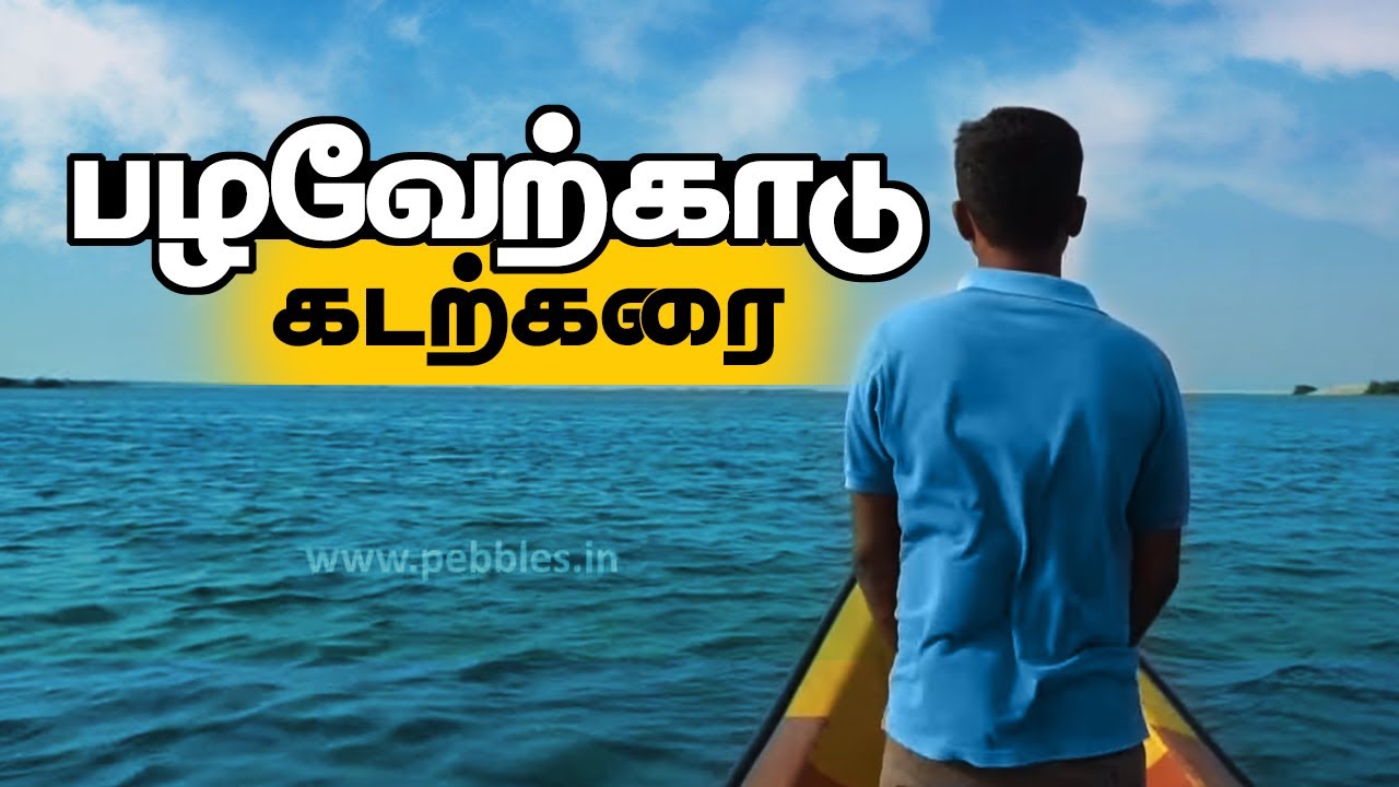 Pazhaverkadu Beach | One day trip nearby Chennai | பழவேற்காடு கடற்கரை | Chennai Tourism Place