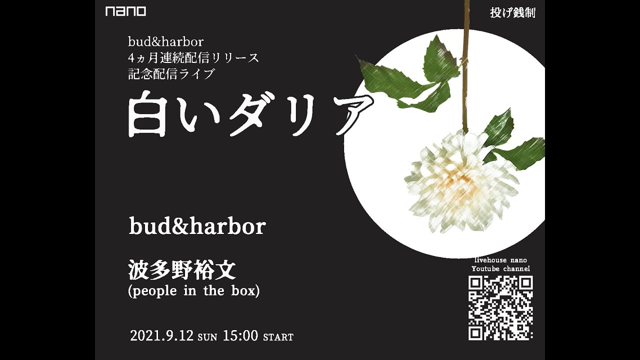 波多野裕文(people in the box) / bud&harbor @livehouse nano 2021.9.12