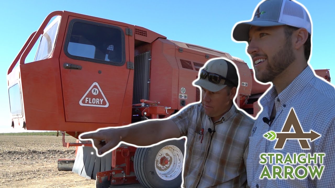 Almond Harvesting With Luke Hicks
