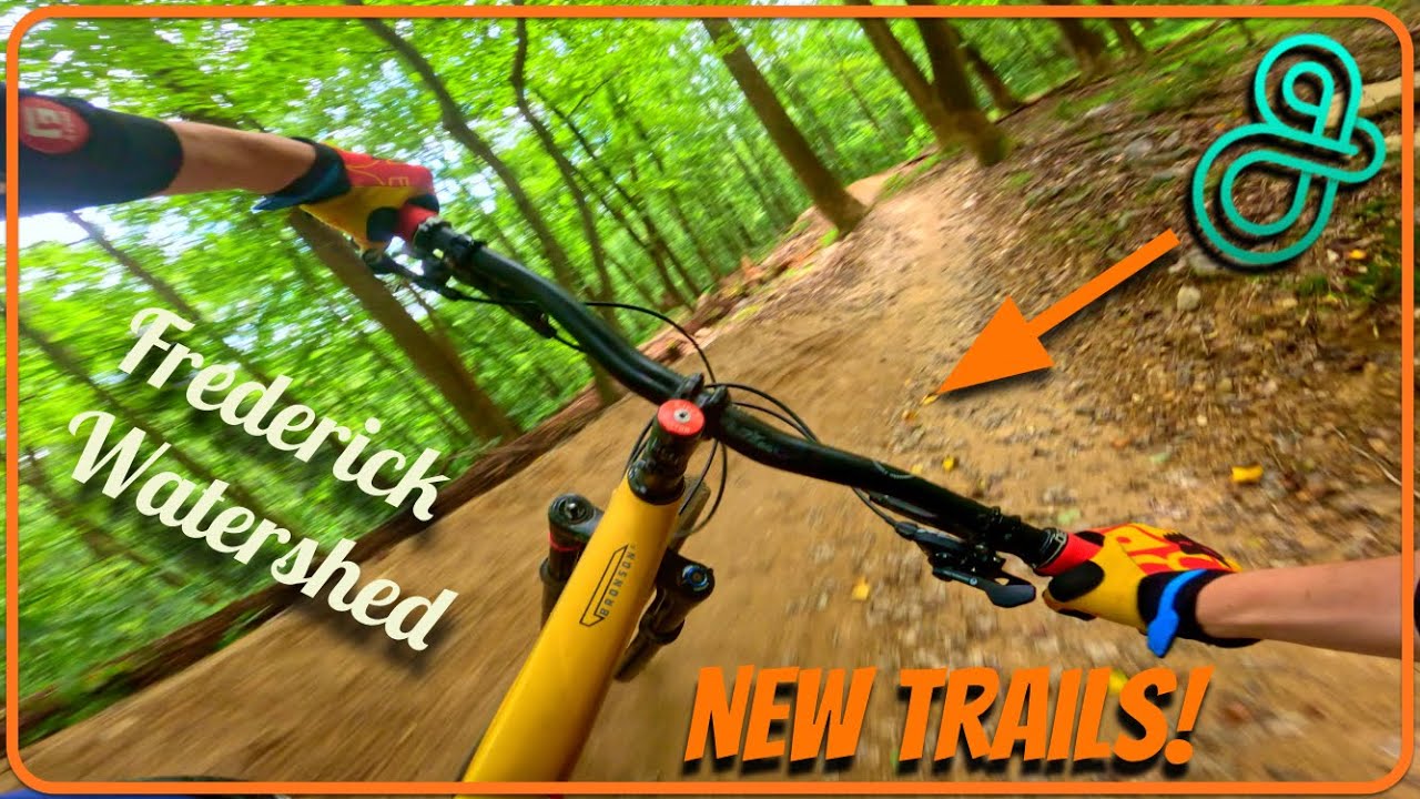 The Sheds new Flow Trails are Great!
