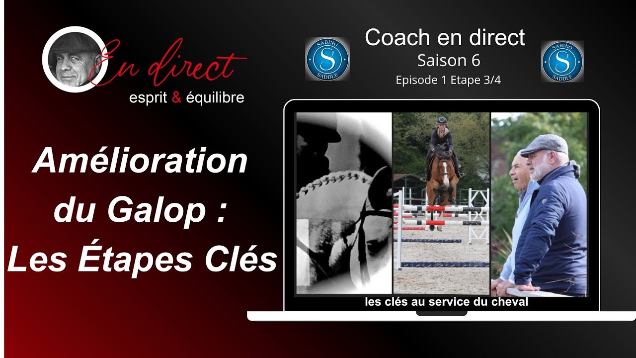 Amélioration du galop: les étapes clés expliquées   Etape 3  Ent1 @coachendirecthorselearning