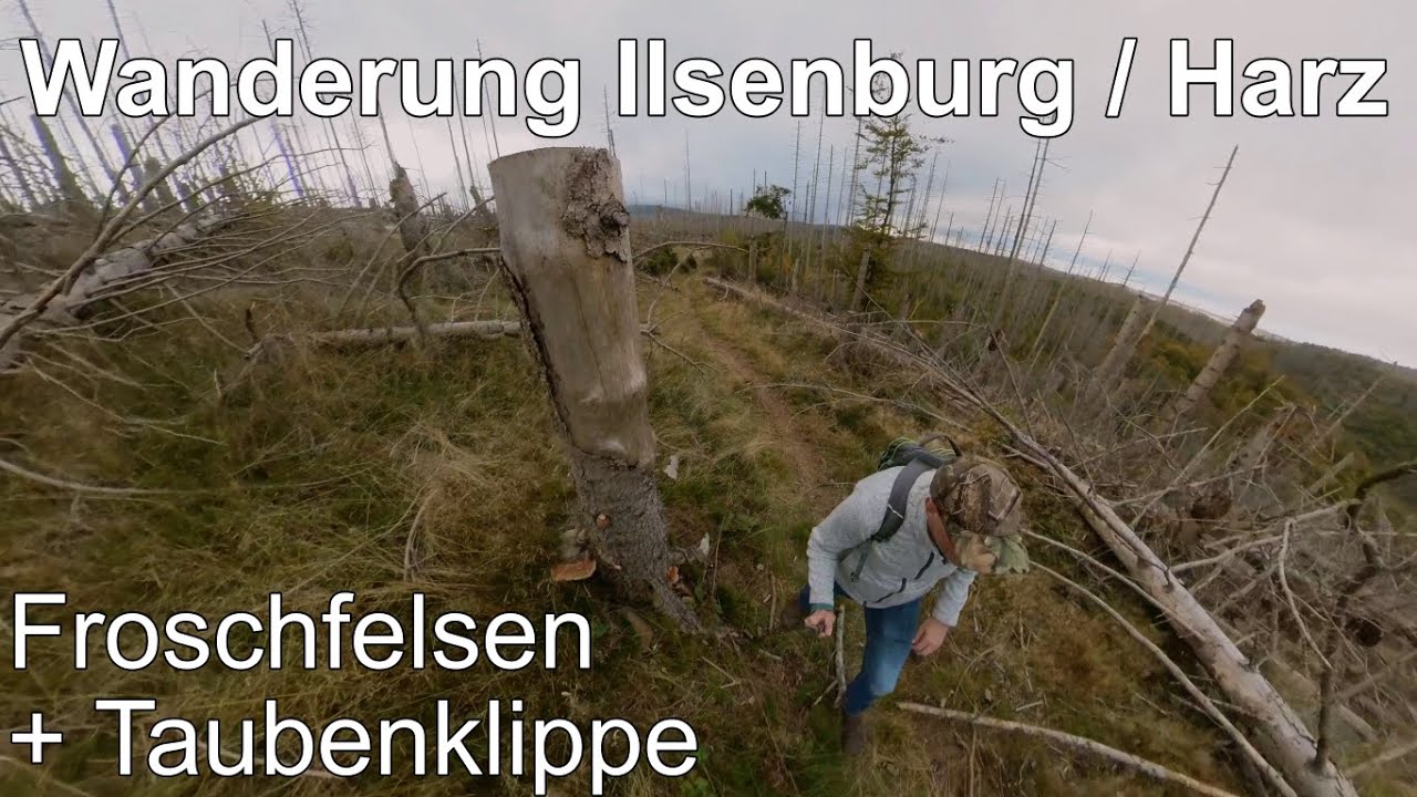 Wandern Ilsenburg im Harz / Stempelstellen der Harzer Wandernadel -  Froschfelsen und Taubenklippe