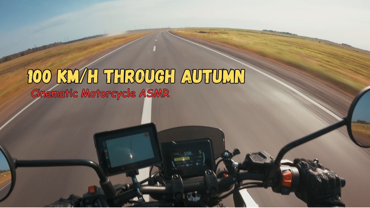 100 km/h Golden Autumn: Motorcycle ASMR on the Highway (No Talking) | Husqvarna Svartpilen 401