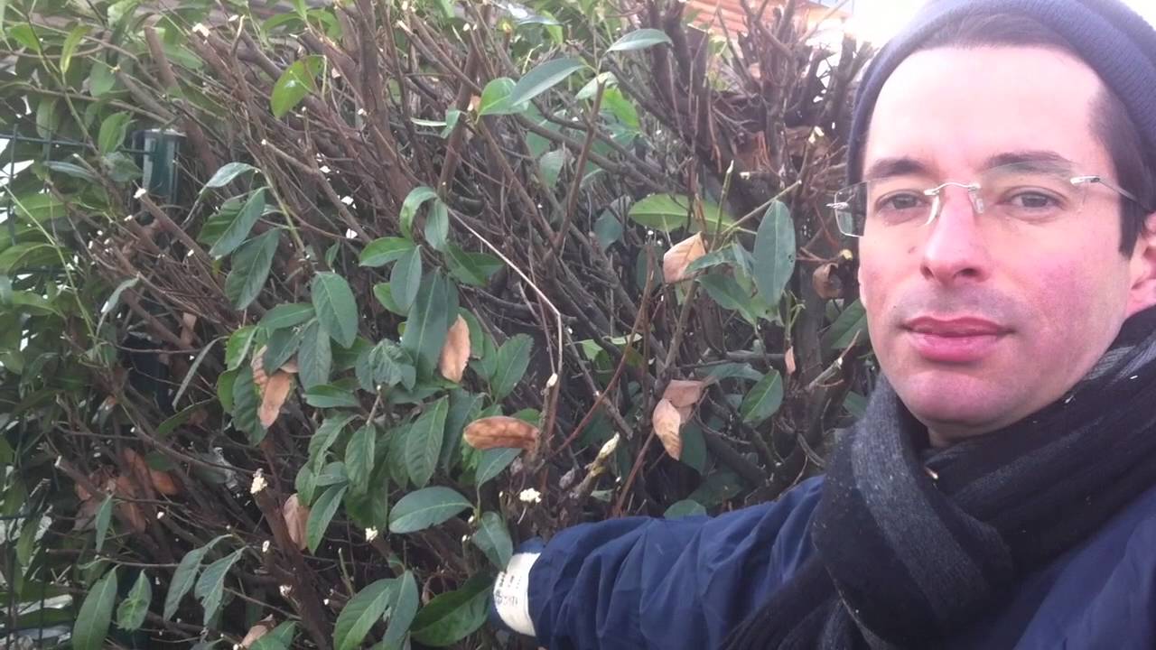 Paysagiste: trouver des clients l'hiver facilement