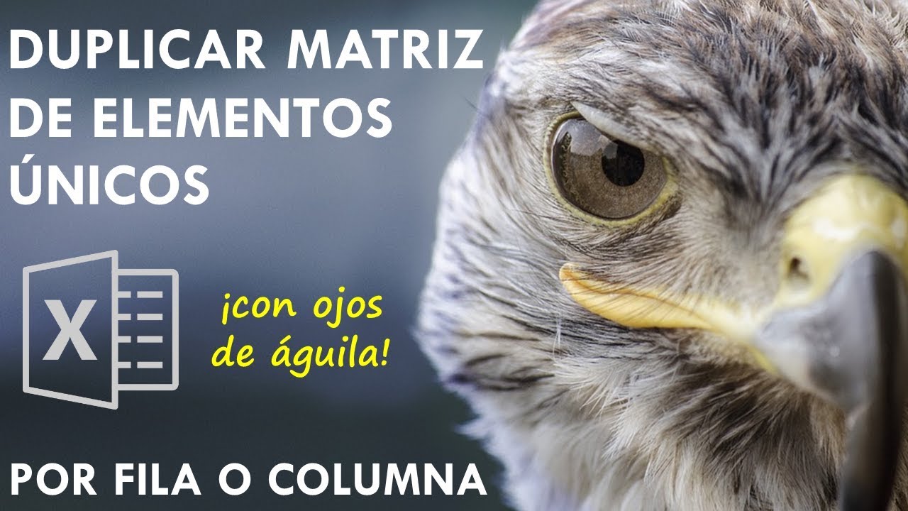 Duplicar matriz de elementos &uacute;nicos por columna o fila