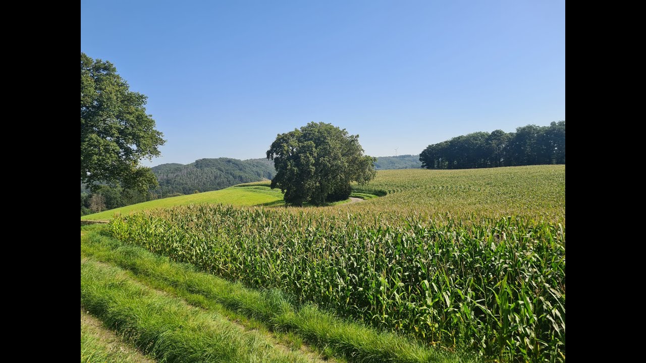 Wanderung des Heimatvereins in der Elfringhauser Schweiz