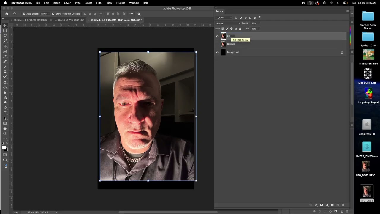 Portrait Curves