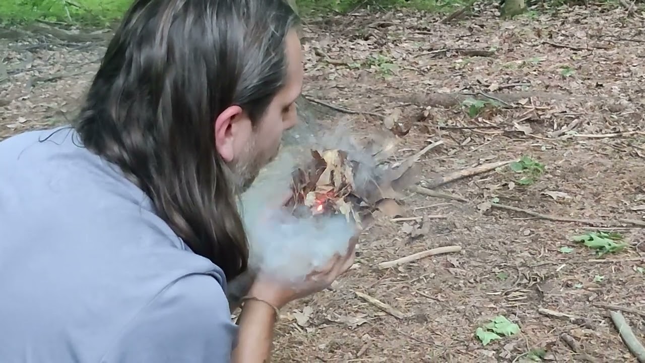 New set. Horseweed and Eastern White Pine. Hand drill friction fire.