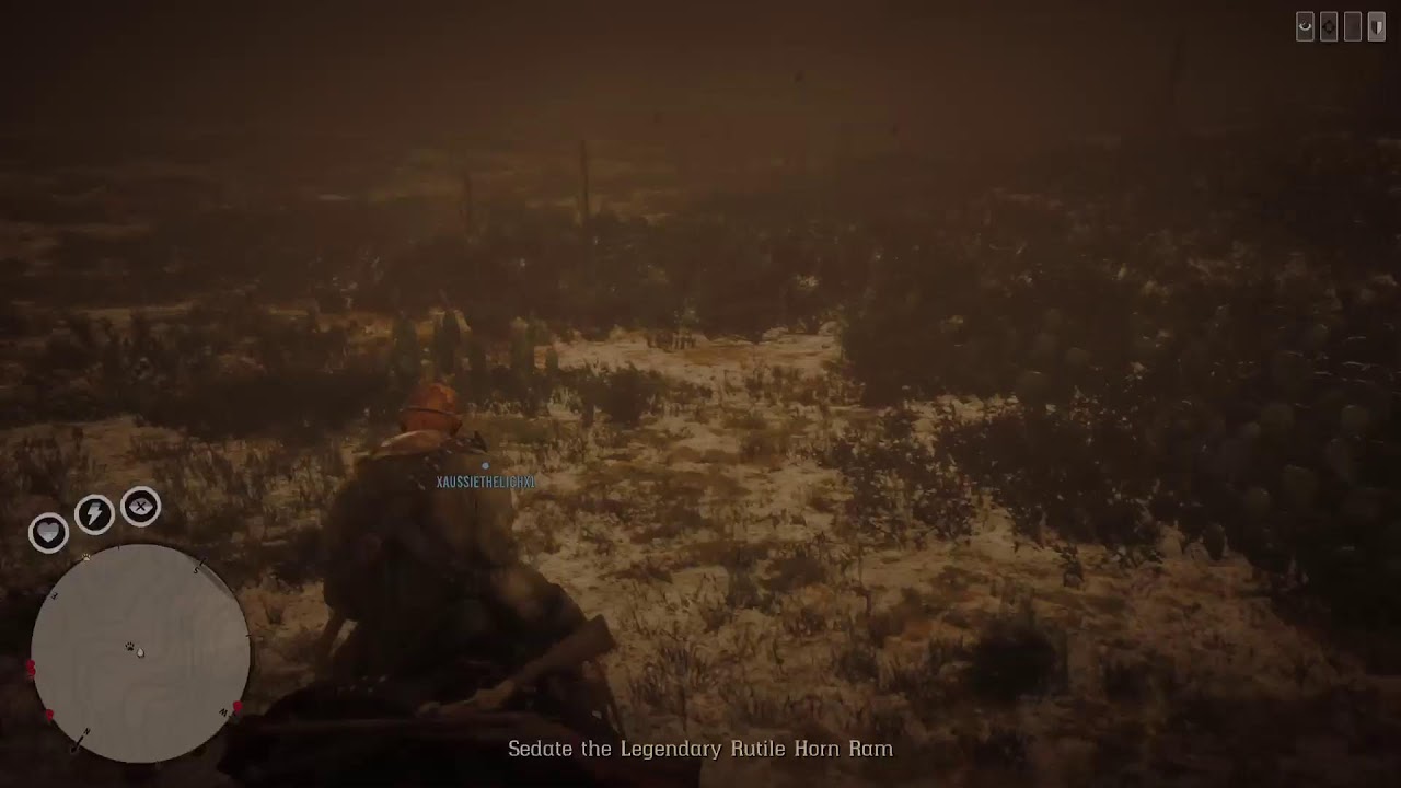 Red Dead redemption two: Treasure Hunting
