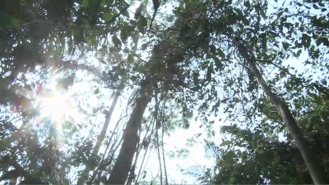 Flooding Our Future: Megadams of the Peruvian Amazon (Antonio)