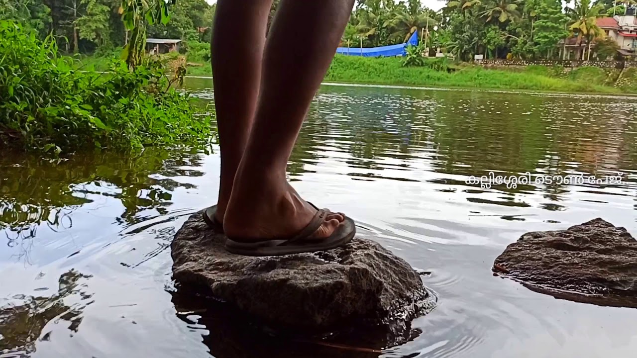 A Short Video on a Walkthrough Kallissery Town... / #kallissery#chengannur
