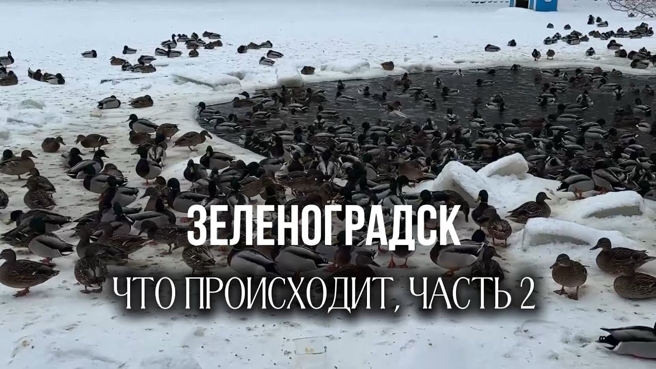 14 февраля. Что происходит в кафе, цены