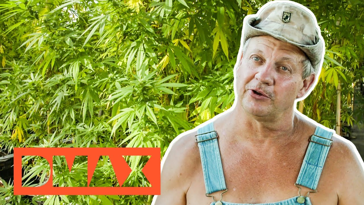 Schnaps mit Hanf - Ein Riesengeschäft? | Moonshiners | DMAX Deutschland