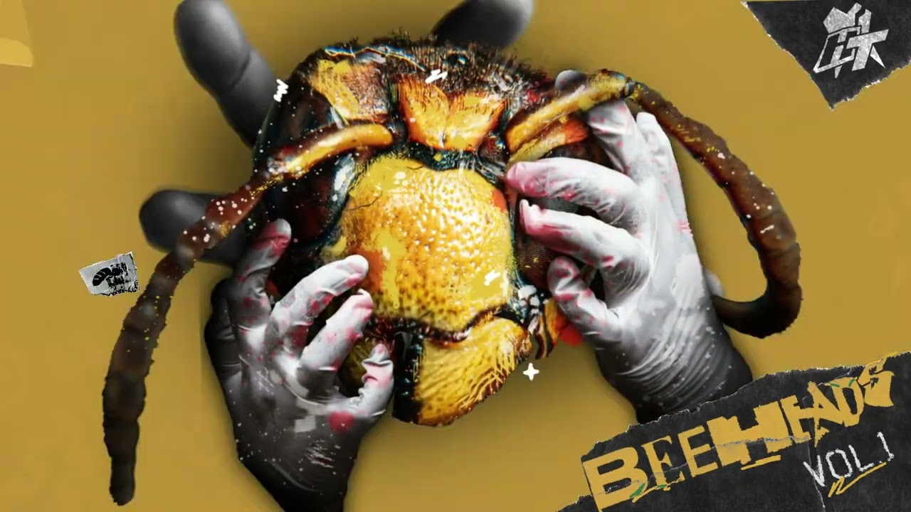 Magic Bite - Refuge