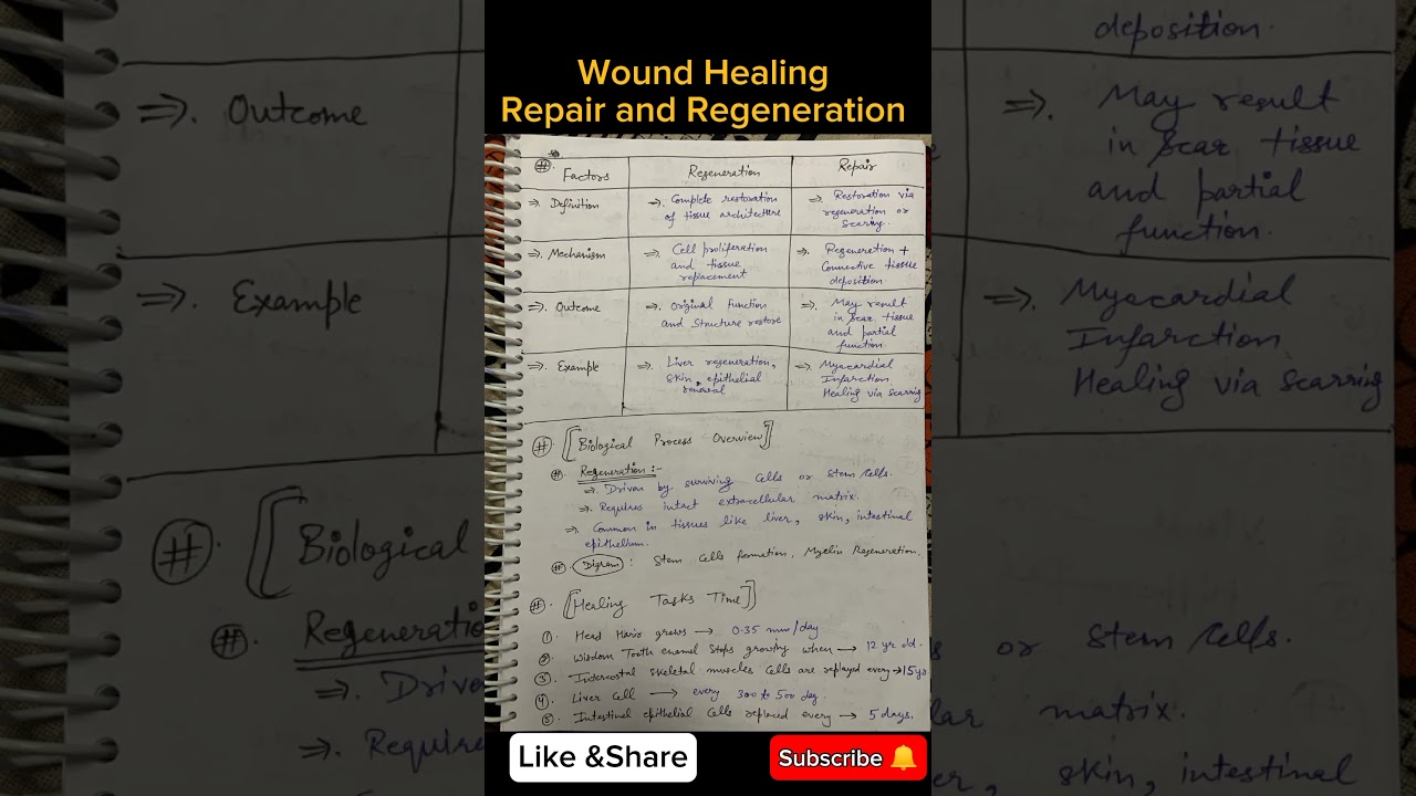 wound healing notes pathology bpt 2nd year #regenerativetherapy #physiotherapy #zarooratrishta #bpt