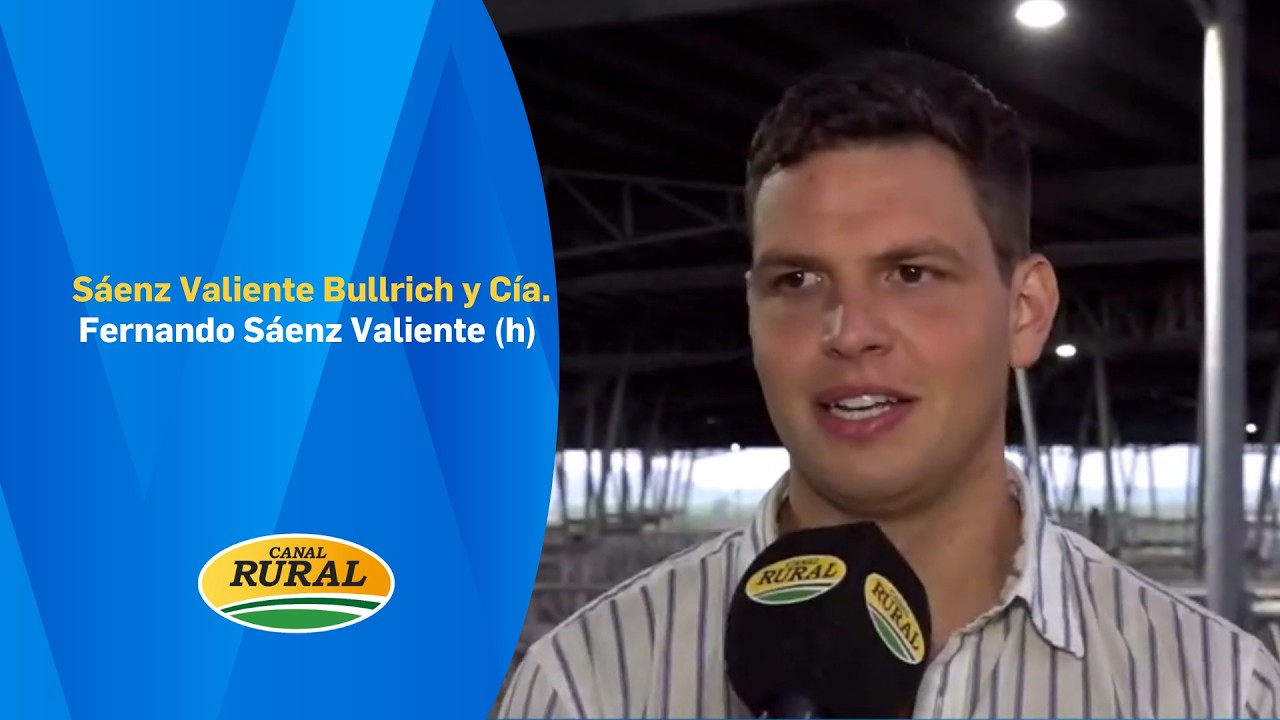 Fernando Sáenz Valiente (H) - Sáenz Valiente Bullrich y CIA S.A.   MV 03/03