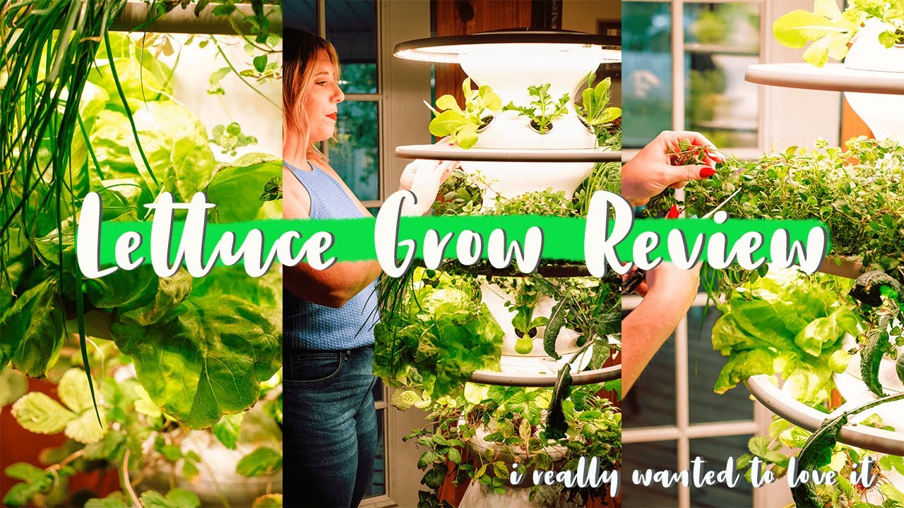 LETTUCE GROW FARMSTAND REVIEW - I wanted to love it. . . #vlogmas