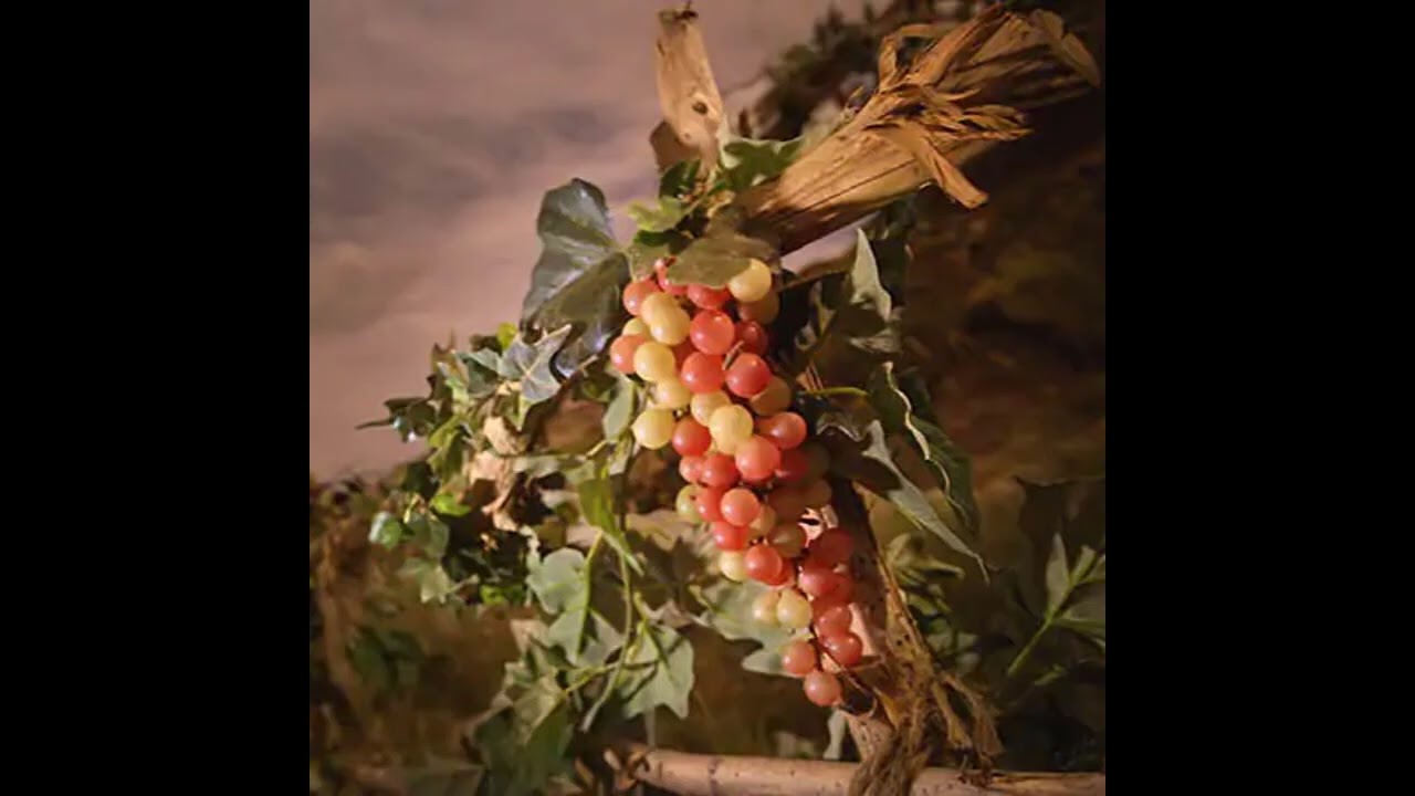 How can i learn from my mother St Mary to bear fruit?