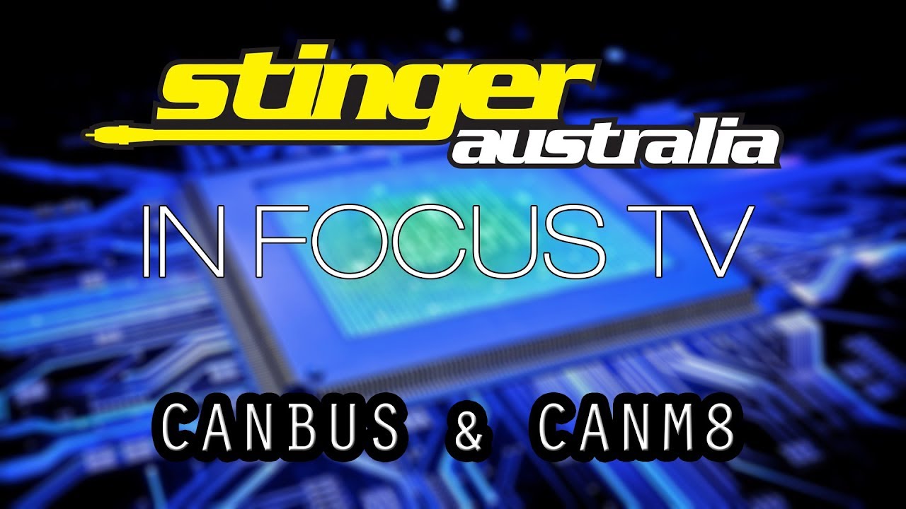 Stinger Australia IN FOCUS - CAN-BUS and CANM8 (Episode 7)