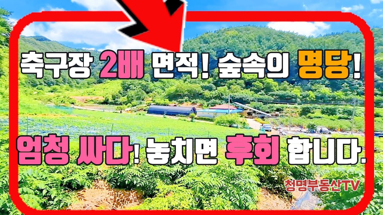 토지 4173평.대박농장.숲속에 명당.별천지. 자연 숲속에 파묻힌 나홀로 주택.멋진 풍경화 속에 숨겨진 보물.절대로 놓치지 마세요~