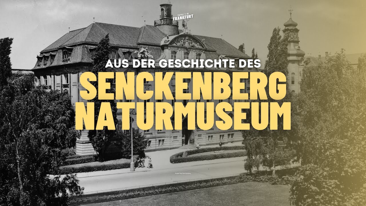 Aus der Geschichte des Senckenberg Naturmuseum