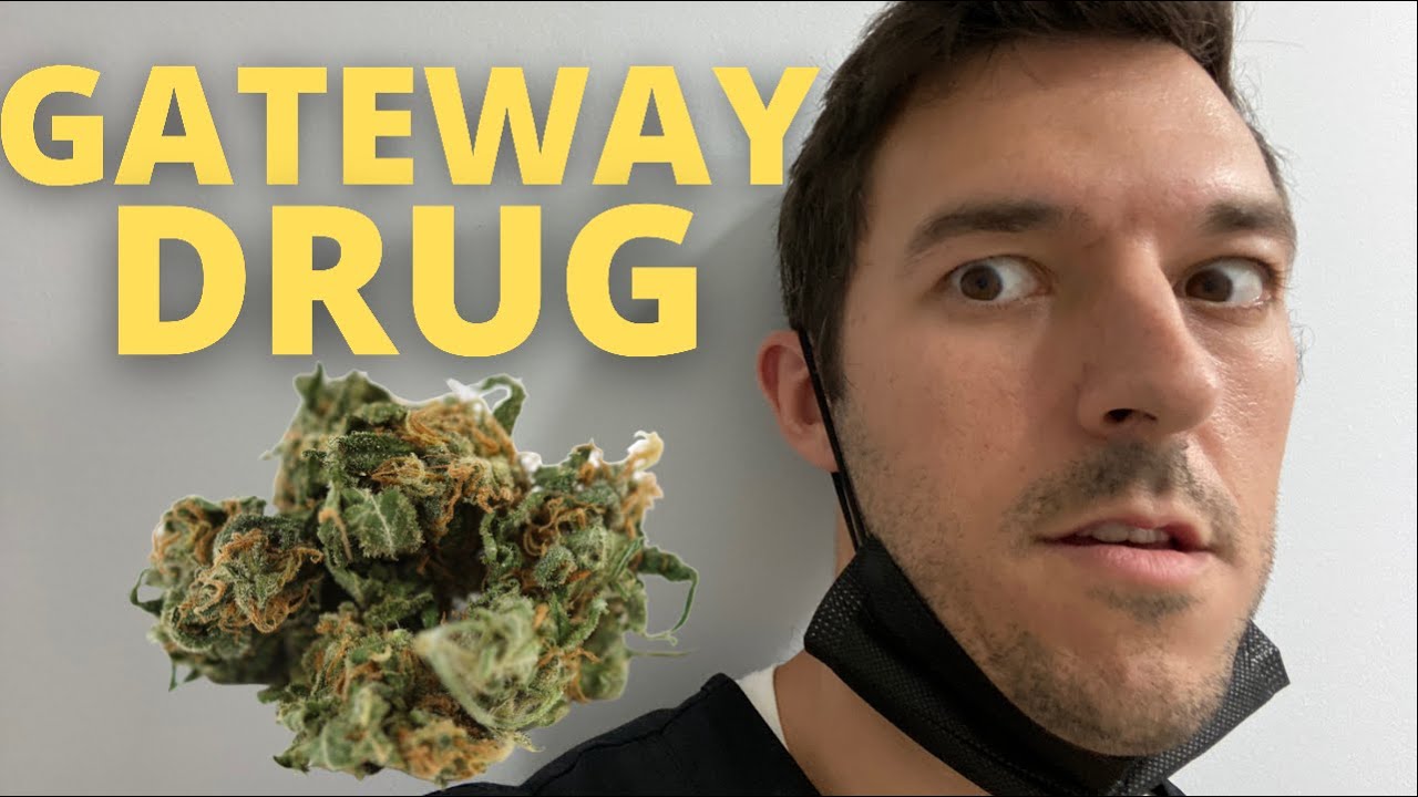 Is Weed A Gateway Drug (Addiction Recovery Coach's Opinion)