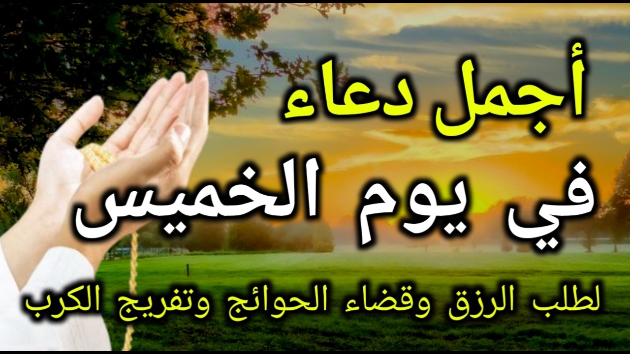 قراءة مؤثرة! دورة واحدة قد تجلب لك الثروة