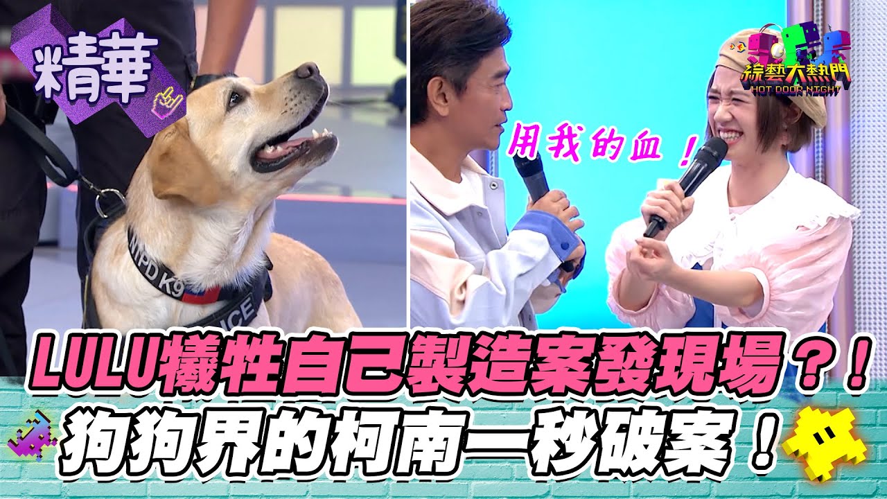 【LULU為了測試血跡偵蒐犬不惜現場放血？！這集的節目怎麼犧牲者那麼多ＸＤ！】｜綜藝大熱門 精華