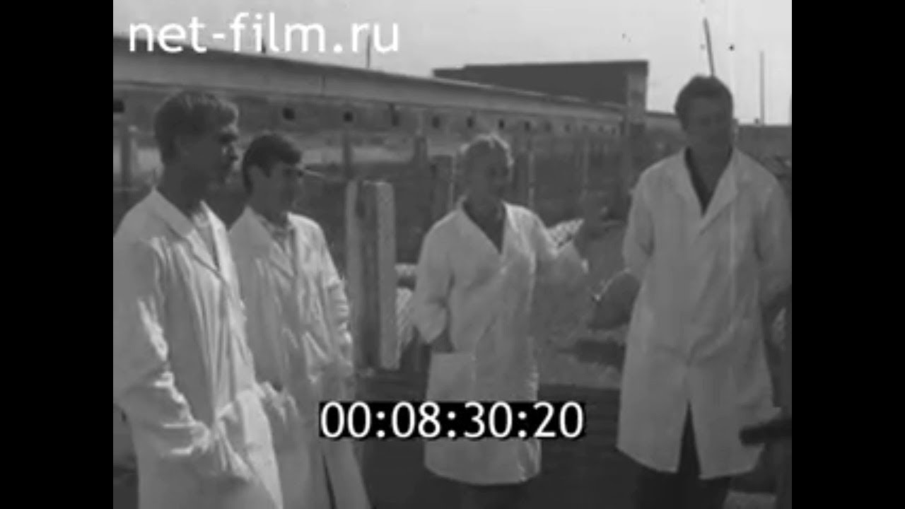 1986г. учхоз Саратовского зоотехническо-ветеринарного института
