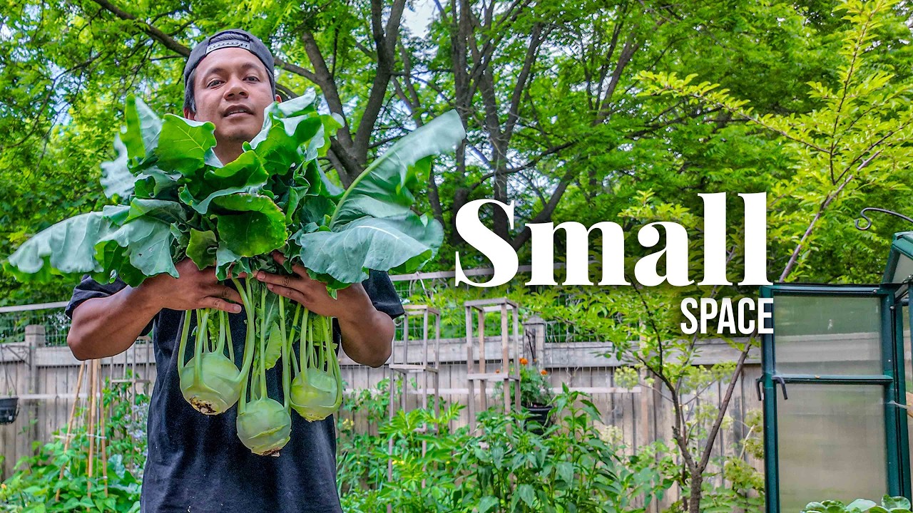 How Much Food Can One Small Elevated Bed Actually Grow?