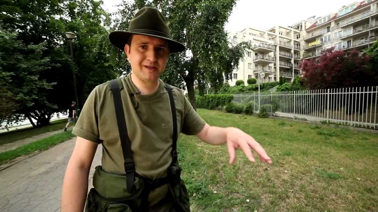 Tajemnice Kniei, odc. 2: Kaczka Dziwaczka