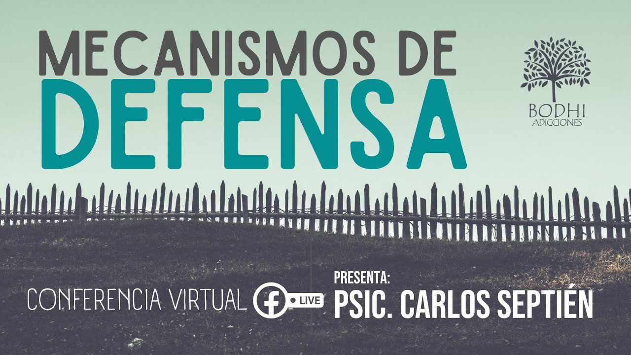 Conferencia virtual 
